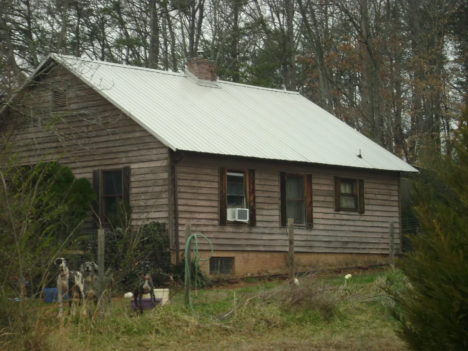 White metal roof on an old wood sided farmhouse, from a Asphalt Shingle Roof Repair job in Bennett